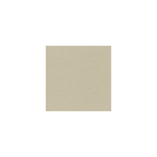KRAVET COUTURE - SUEDE TEXTURE- GRIS - Fabric by the Yard GRIS