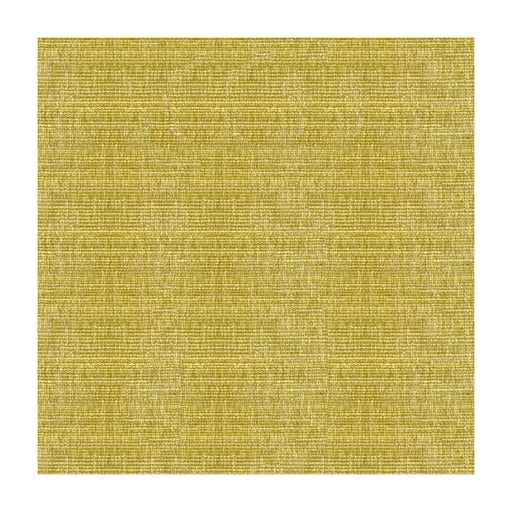KRAVET SMART - KRAVET SMART- 34191-303 - Fabric by the Yard 34191-303
