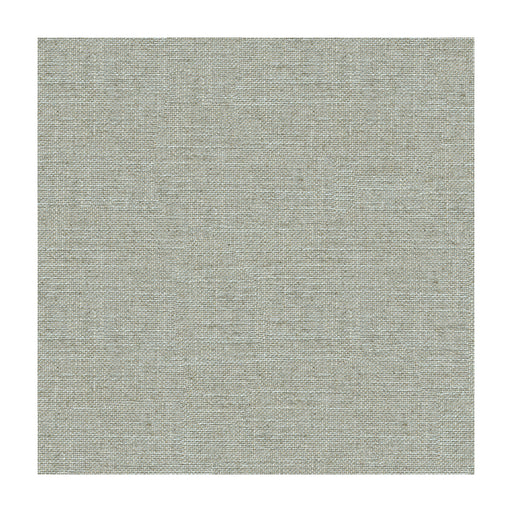 KRAVET DESIGN - 4196 - VIRGA - Fabric By the Yard