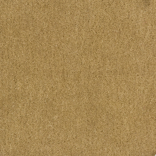 KRAVET COUTURE - WINDSOR MOHAIR- TAUPE - Fabric by the Yard TAUPE