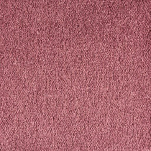 KRAVET COUTURE - PLAZZO MOHAIR- TULIPWOOD - Fabric by the Yard TULIPWOOD