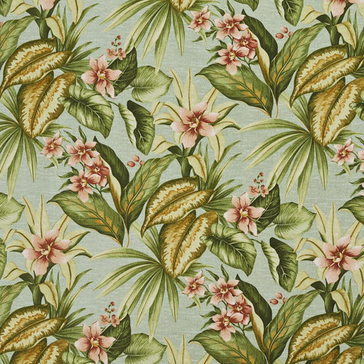 Charlotte - 3426 - Jamaica - Fabric by the Yard Jamaica