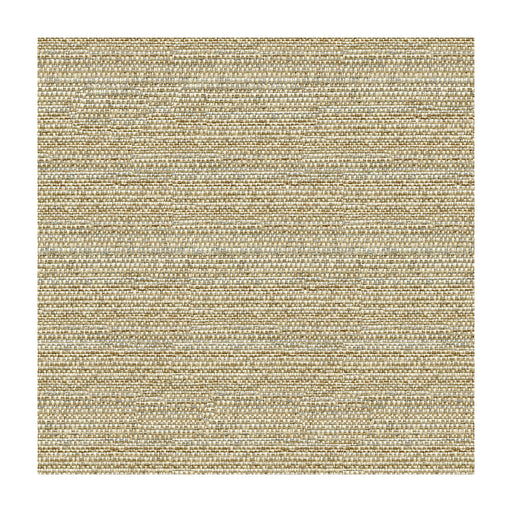 KRAVET COUTURE - KRAVET COUTURE- 34274-1611 - Fabric by the Yard 34274-1611