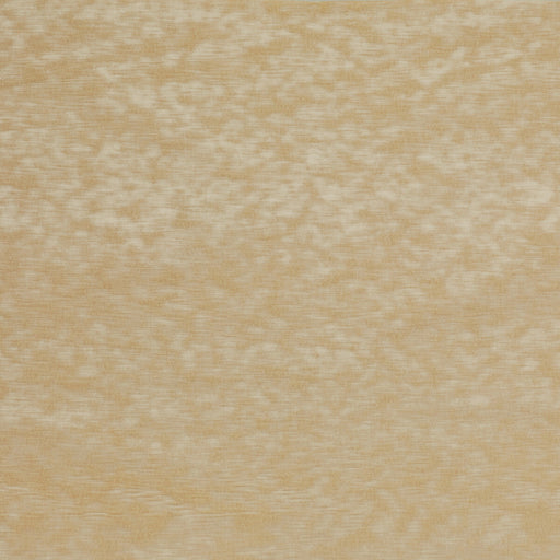 KRAVET COUTURE - HIGH IMPACT- IVORY - Fabric by the Yard IVORY
