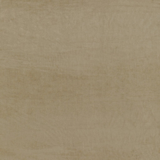 KRAVET COUTURE - FINE LINES- LATTE - Fabric by the Yard LATTE