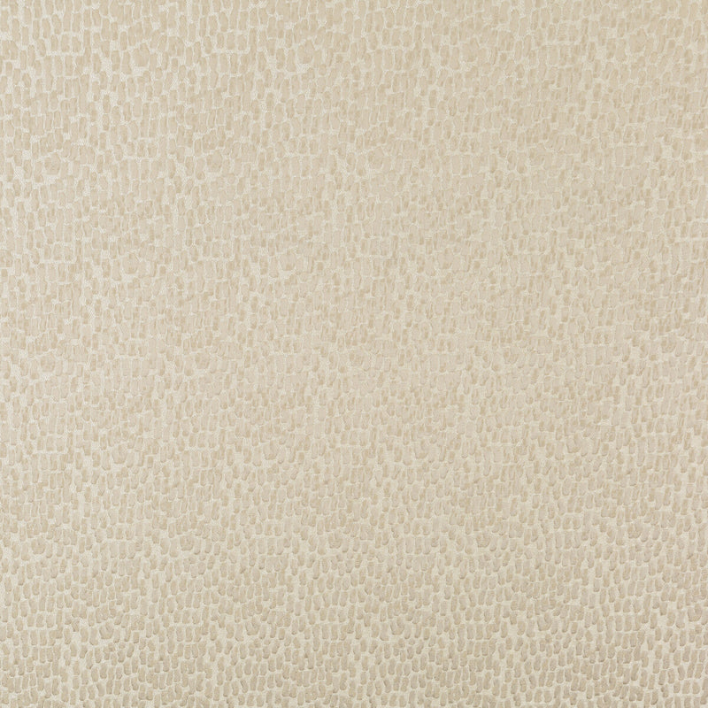 KRAVET BASICS - KRAVET BASICS- 34412-111 - Fabric by the Yard 34412-111