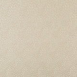 KRAVET BASICS - KRAVET BASICS- 34412-111 - Fabric by the Yard