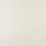 KRAVET BASICS - KRAVET BASICS- 34412-1 - Fabric by the Yard