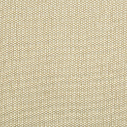 KRAVET BASICS - 4525 - Fabric By the Yard