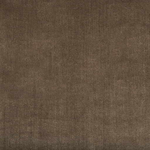 KRAVET COUTURE - DUCHESS VELVET- MINK - Fabric by the Yard MINK