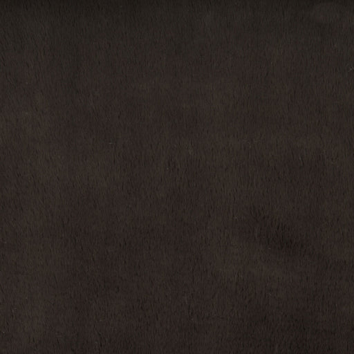 KRAVET BASICS - KRAVET BASICS- 34642-6 - Fabric by the Yard 34642-6