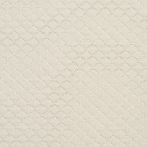Charlotte - 3464 - Shell - Fabric by the Yard Shell