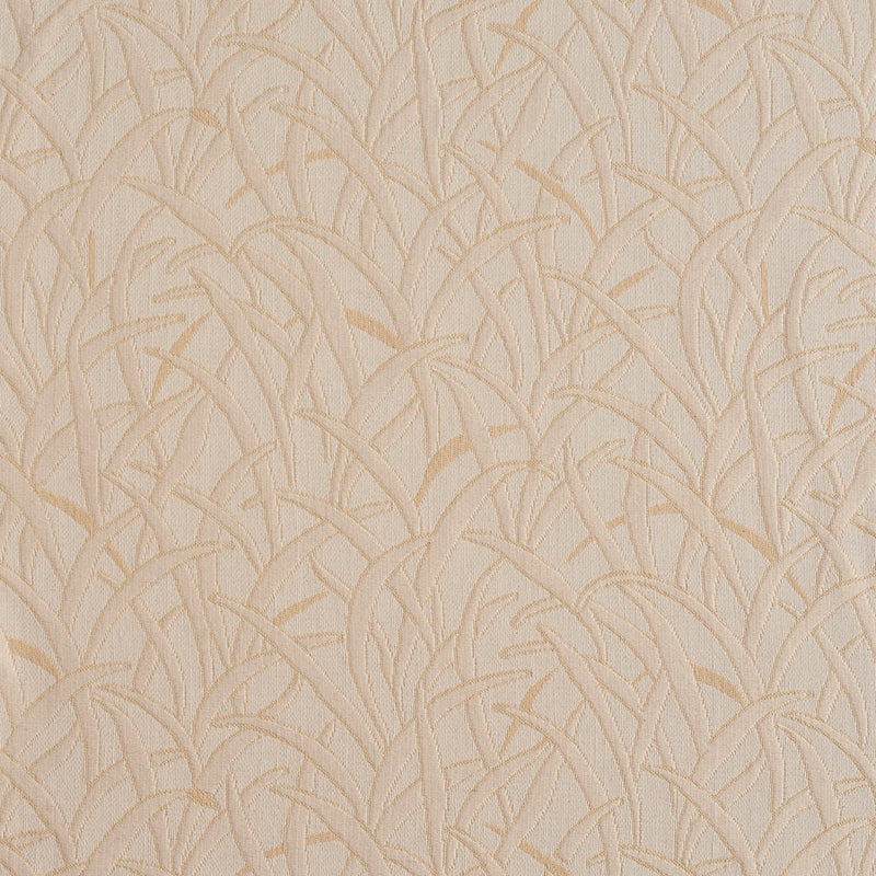 Charlotte - 3467 - Ivory - Fabric by the Yard Ivory