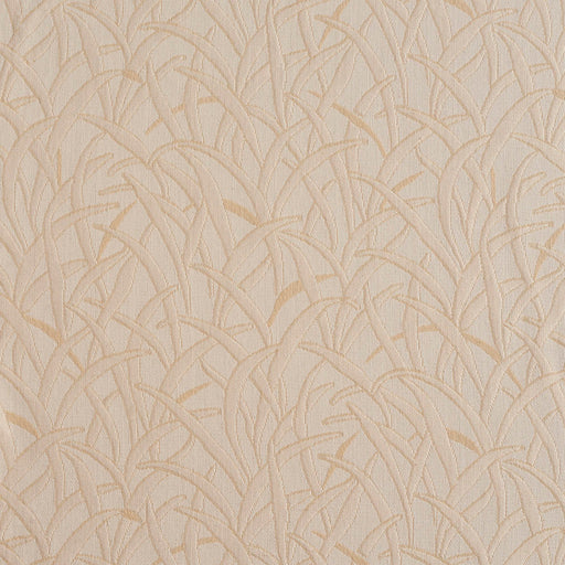 Charlotte - 3467 - Ivory - Fabric by the Yard Ivory