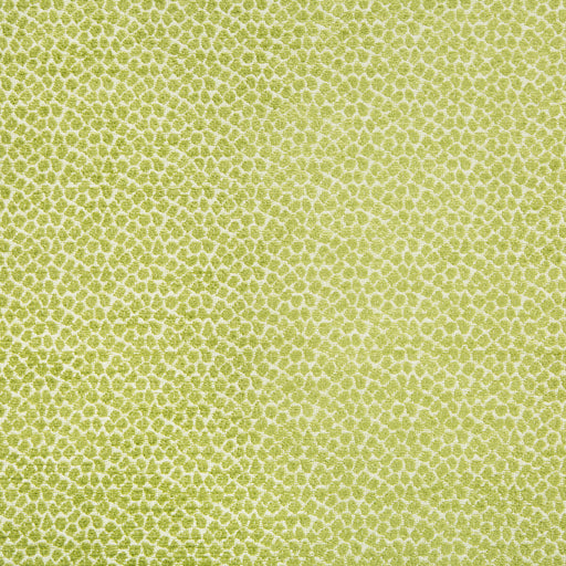 KRAVET DESIGN - 34682 - Fabric By the Yard