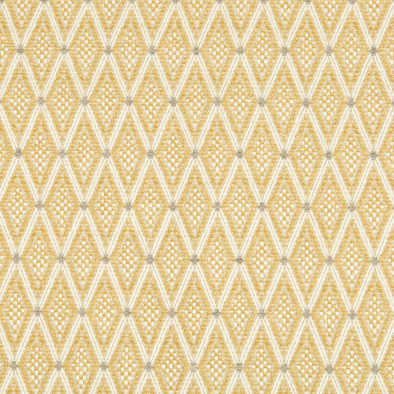 KRAVET DESIGN - KRAVET DESIGN- 34699-16 - Fabric by the Yard 34699-16