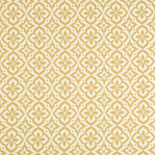 KRAVET DESIGN - KRAVET DESIGN- 34703-16 - Fabric by the Yard 34703-16