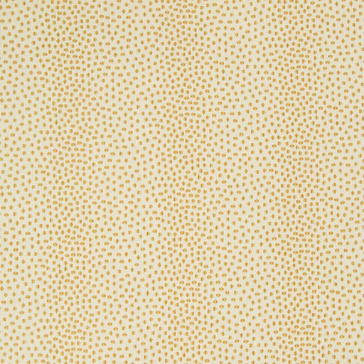 KRAVET DESIGN - KRAVET DESIGN- 34710-16 - Fabric by the Yard 34710-16