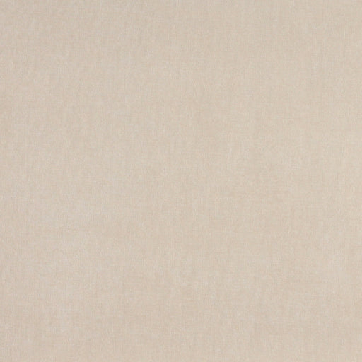 Charlotte - 3473 - Champagne - Fabric by the Yard Champagne