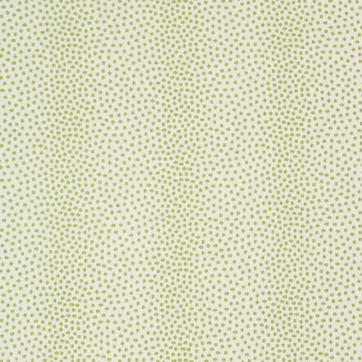 KRAVET CONTRACT - KRAVET CONTRACT- 34748-13 - Fabric by the Yard 34748-13