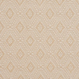 Charlotte - 3475 - Prism - Fabric by the Yard