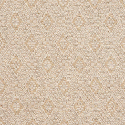 Charlotte - 3475 - Prism - Fabric by the Yard Prism