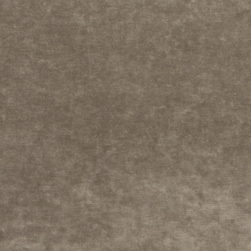 KRAVET COUTURE - QUEEN'S VELVET- MINK - Fabric by the Yard MINK