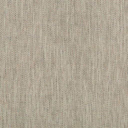 KRAVET COUTURE - KRAVET COUTURE- 34797-1121 - Fabric by the Yard 34797-1121