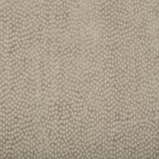 KRAVET COUTURE - 34830 - LUSTROUS LIGHT - Fabric By the Yard