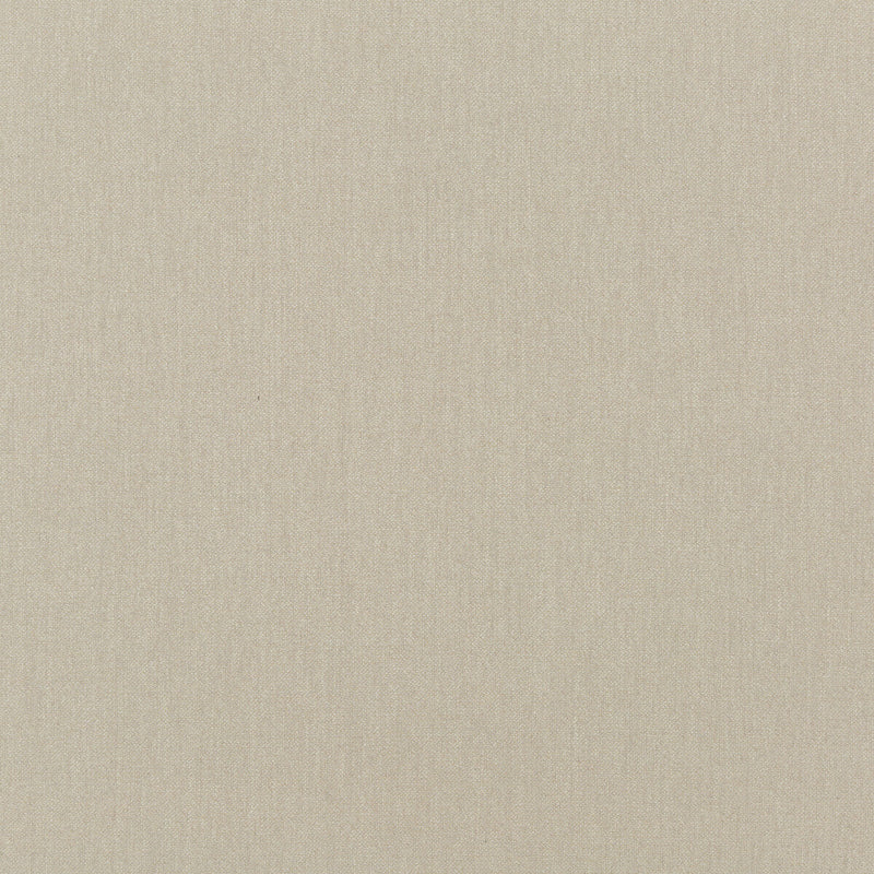 KRAVET COUTURE - KRAVET COUTURE- 34834-1611 - Fabric by the Yard 34834-1611