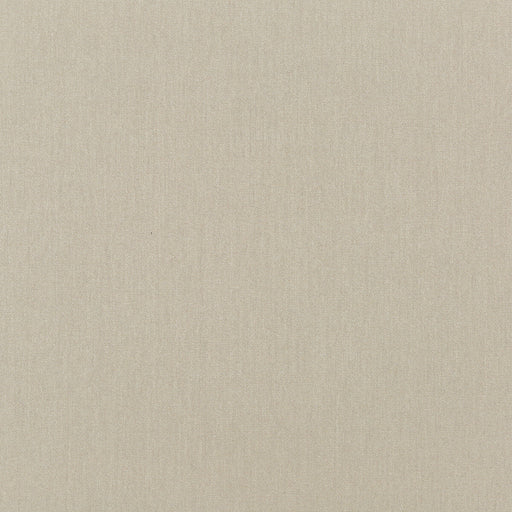 KRAVET COUTURE - KRAVET COUTURE- 34834-1611 - Fabric by the Yard 34834-1611