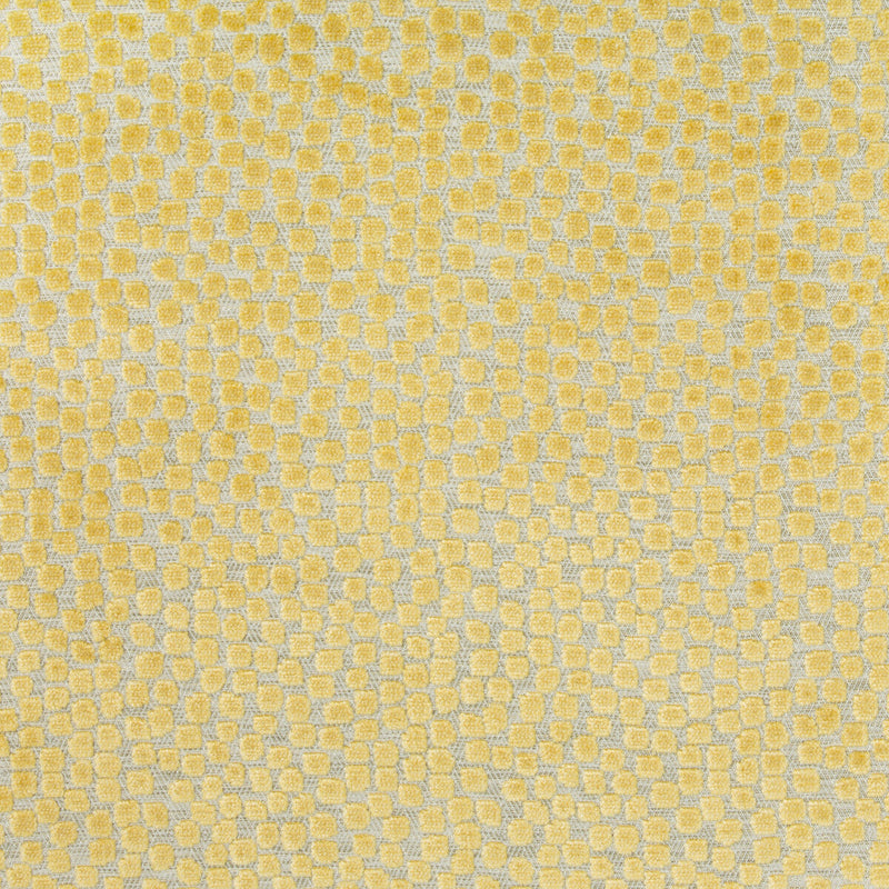 KRAVET DESIGN - FLURRIES- CITRINE - Fabric by the Yard CITRINE