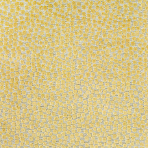 KRAVET DESIGN - FLURRIES- CITRINE - Fabric by the Yard CITRINE
