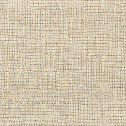 KRAVET COUTURE - 34876 - WALK ABOUT - Fabric By the Yard