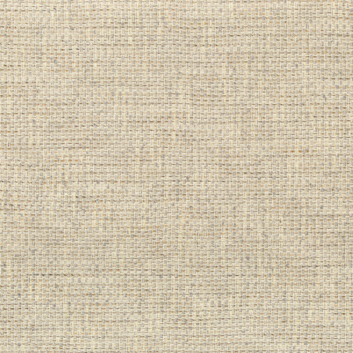 KRAVET COUTURE - WALK ABOUT- PEBBLE - Fabric by the Yard PEBBLE