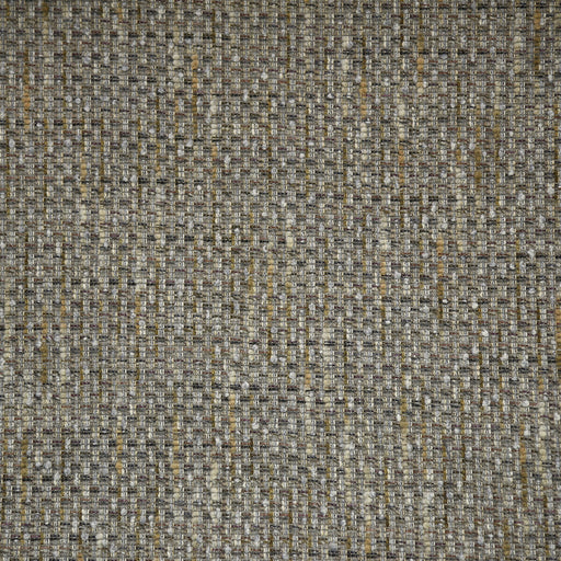 KRAVET COUTURE - WALK ABOUT- ANTHRACITE - Fabric by the Yard ANTHRACITE