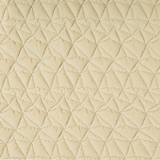 KRAVET COUTURE - TAKING SHAPE- CHAMPAGNE - Fabric by the Yard CHAMPAGNE