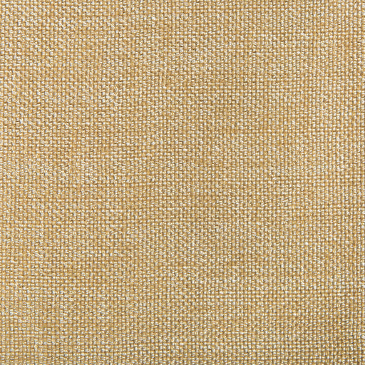KRAVET CONTRACT - KRAVET CONTRACT- 34926-116 - Fabric by the Yard 34926-116