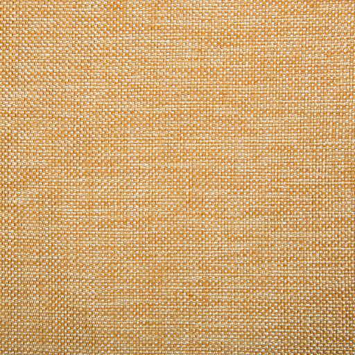 KRAVET CONTRACT - KRAVET CONTRACT- 34926-1211 - Fabric by the Yard 34926-1211