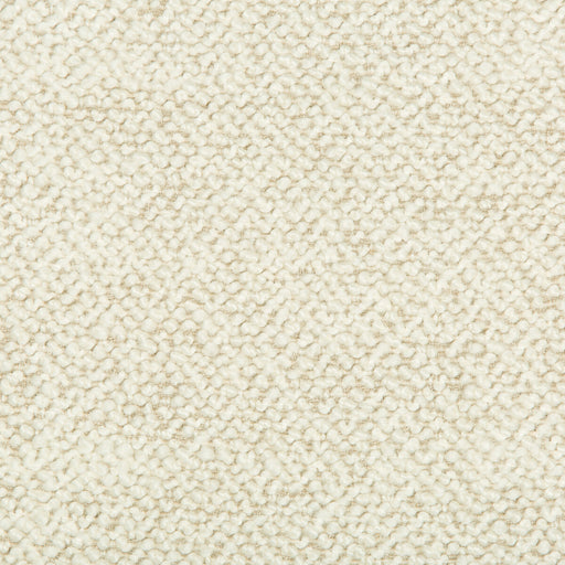 KRAVET COUTURE - 34956 - BABBIT - Fabric By the Yard