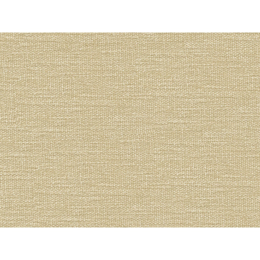 KRAVET CONTRACT - KRAVET CONTRACT- 34961-1116 - Fabric by the Yard 34961-1116