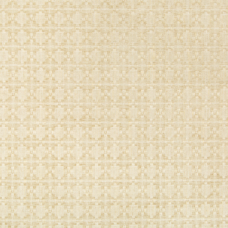 KRAVET COUTURE - BACK IN STYLE- NATURAL - Fabric by the Yard NATURAL