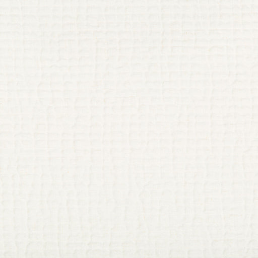 KRAVET COUTURE - CACHUMA- IVORY - Fabric by the Yard IVORY