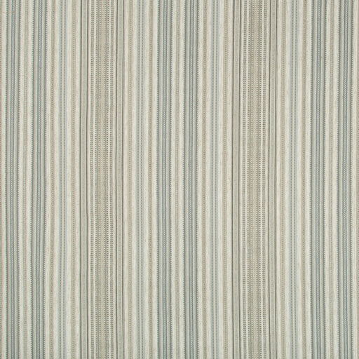 KRAVET DESIGN - KRAVET DESIGN- 34991-1611 - Fabric by the Yard 34991-1611