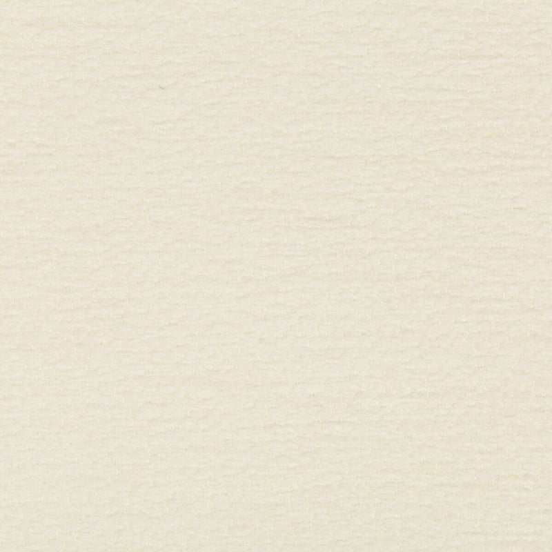 KRAVET DESIGN - KRAVET DESIGN- 34993-101 - Fabric by the Yard 34993-101