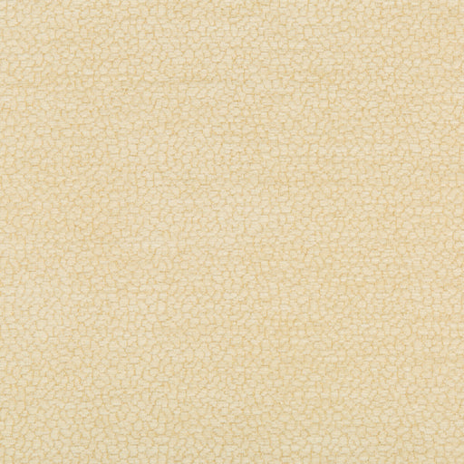 KRAVET DESIGN - KRAVET DESIGN- 34993-16 - Fabric by the Yard 34993-16