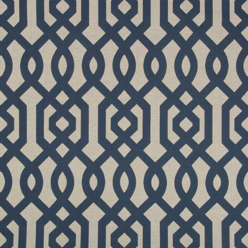 KRAVET DESIGN - KRAVET DESIGN- 34998-505 - Fabric by the Yard 34998-505