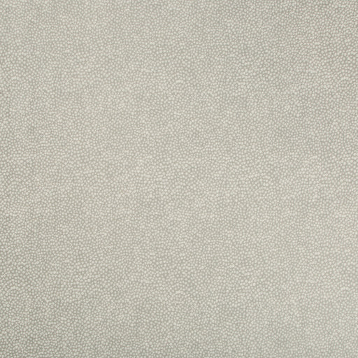 KRAVET BASICS - 35064 - PEBBLEDOT - Fabric By the Yard