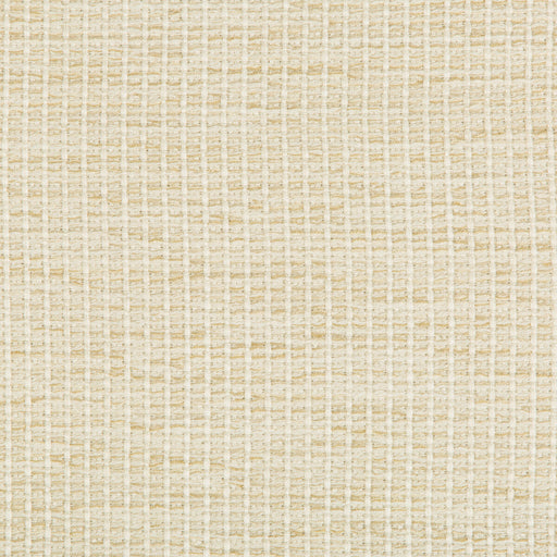 KRAVET DESIGN - KRAVET DESIGN- 35123-116 - Fabric by the Yard 35123-116