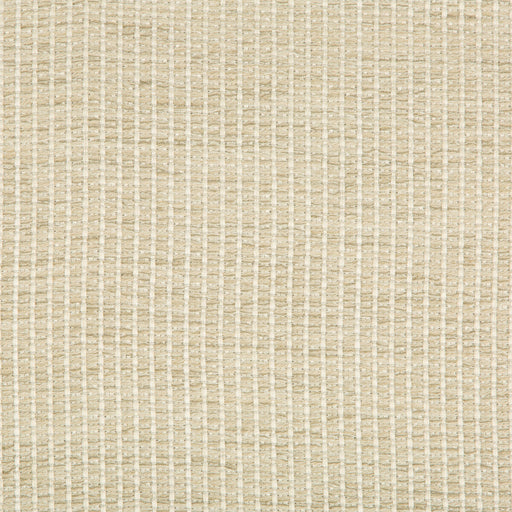 KRAVET DESIGN - KRAVET DESIGN- 35123-1611 - Fabric by the Yard 35123-1611